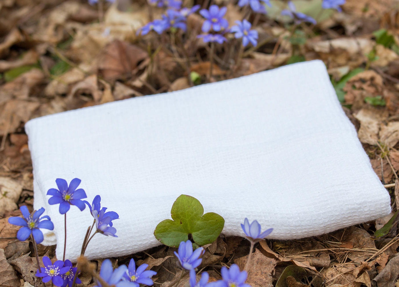 White Linen Waffle Towels | Bath & Beach