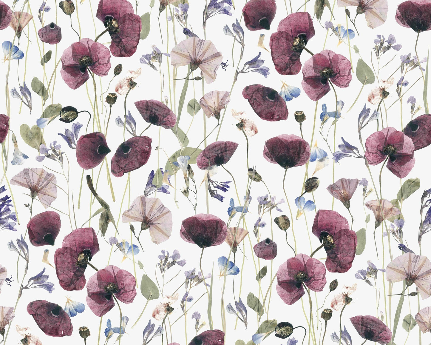 Poppy Field Linen Fabric: European Flax